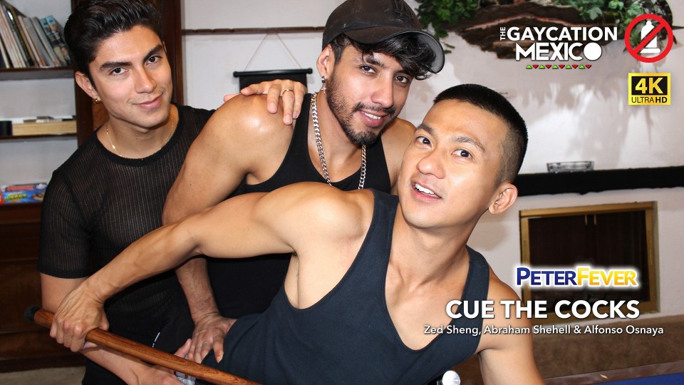 Gaycation Episode Four: Cue the Cocks